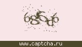Защитный код