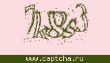 Защитный код