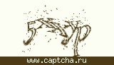 Защитный код