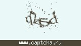Защитный код