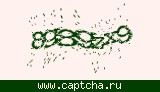 Защитный код