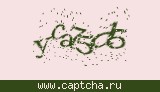 Защитный код