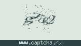 Защитный код