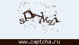 Защитный код