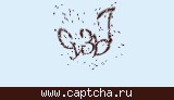 Защитный код