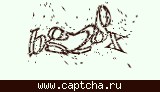 Защитный код