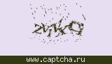 Защитный код