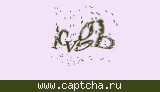 Защитный код