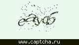 Защитный код