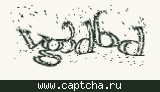 Защитный код