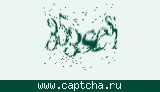Защитный код
