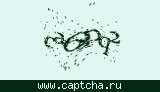 Защитный код