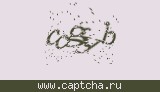 Защитный код