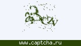 Защитный код