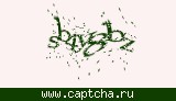 Защитный код