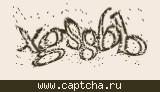 Защитный код