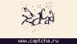 Защитный код