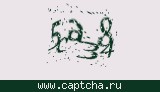 Защитный код