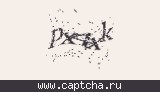 Защитный код