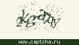 Защитный код