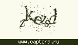 Защитный код