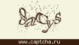 Защитный код
