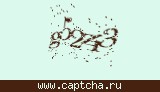Защитный код