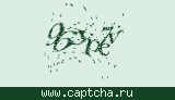Защитный код