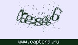 Защитный код