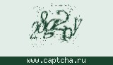 Защитный код