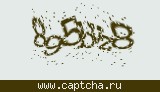 Защитный код