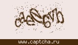 Защитный код