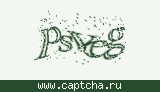 Защитный код