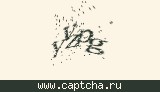 Защитный код